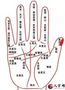 手相:看看聚财的手相、瞧瞧有福的耳朵带禄的嘴唇!